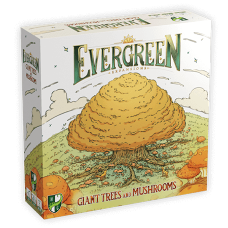 Evergreen - Giant Trees And Mushrooms