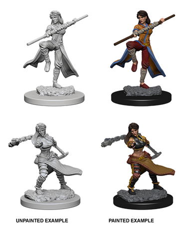 D&d Nolzur Mum Human Female Monk - D&D MINIATURES - Fantamagus Giochi da  Tavolo - Giochi di Ruolo - Miniature - Gadgets - Carte Collezionabili